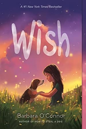 Wish by Barbara O'Connor - Used
