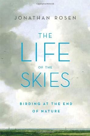 The Life of the Skies by Jonathan Rosen - Used