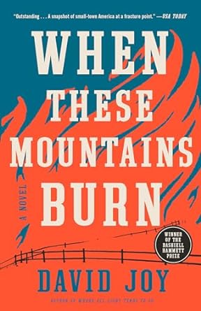 When These Mountains Burn by David Joy