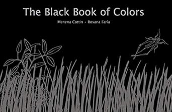 The Black Book of Colors by Menena Cottin, Rosana Faria (Illus), & Elisa Amado (Trans)