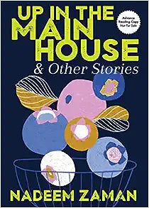 Up in the Main House & Other Stories by Nadeem Zaman