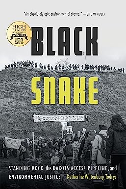 Black Snake: Standing Rock, the Dakota Access Pipeline, and Environmental Justice by Katherine Wiltenburg Todrys