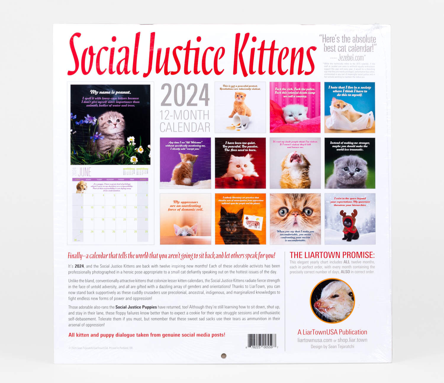 Social Justice Kittens 2024 Calendar Nook & Cranny Books