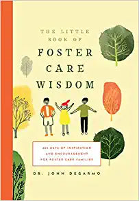 The Little Book of Foster Care Wisdom by John DeGarmo