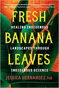 Fresh Banana Leaves by Jessica Hernandez